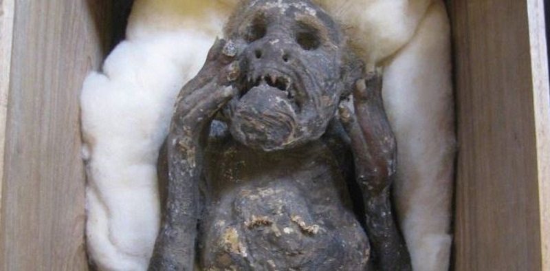 El misterio de la “sirena” momificada con rostro humano que desconcierta a los científicos