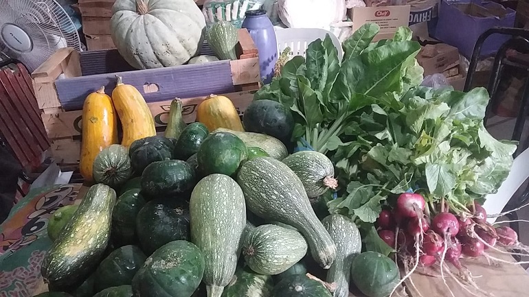 Todas las semanas La Colonia Penal dona su producción de huerta a «Madres Cocinando»