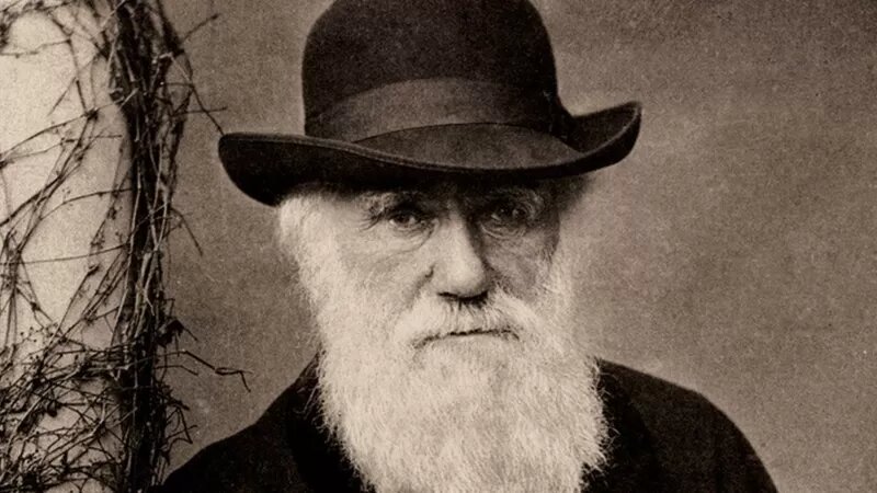 La misteriosa reaparición de dos cuadernos de Darwin fundamendales para su teoría de la evolución robados hace 22 años