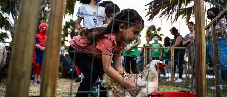 China detectó el primer caso de gripe aviaria H3N8 en un humano