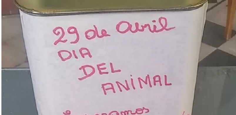 Asilo Hogar Las Mercedes, movida solidaria para los animales de la calle