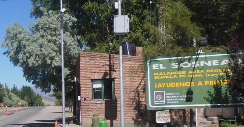 Detenidos con un ñandú faenado en El Sosneado