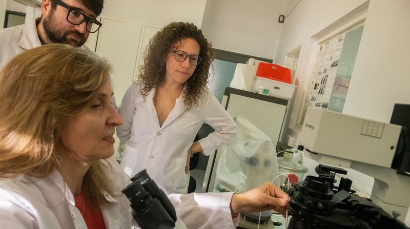 Científicos de la UNCUYO generan vida animal en un laboratorio