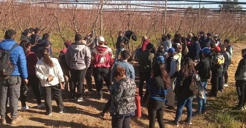 Concurso de poda en la escuela La Guevarina