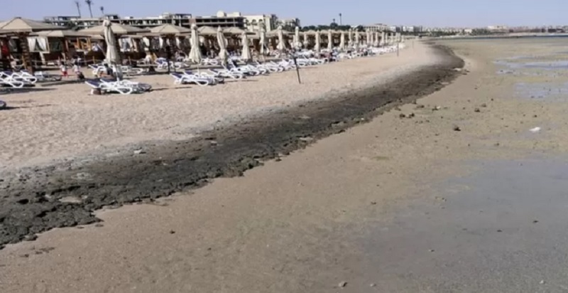 Egipto cierra sus playas en el mar Rojo luego de una serie de ataques de tiburones