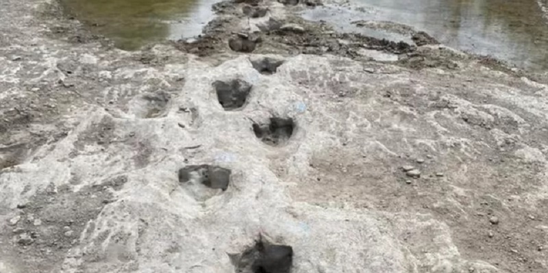 El asombroso hallazgo de las huellas de un dinosaurio que quedaron expuestas por la sequía en Estados Unidos