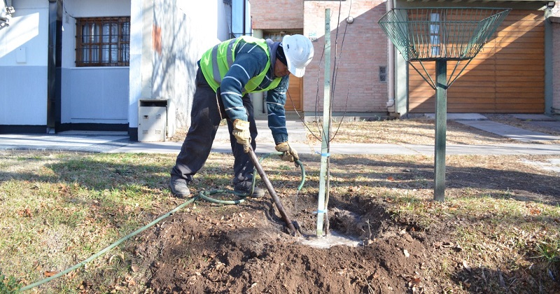 El municipio relanzó su plan de forestación hacia los 10 mil ejemplares