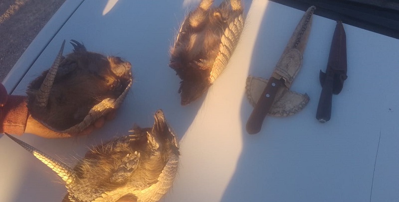 Encuentran a tres hombres y un menor, con una liebre, piches vivos y piches muertos