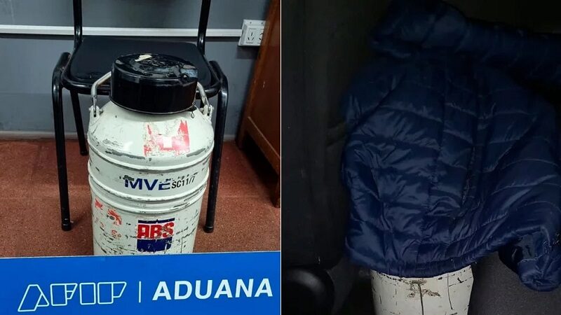 La Aduana evitó un contrabando por USD 500.000 de semen de toro congelado