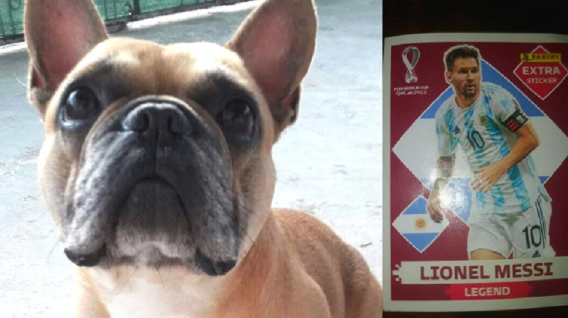 Un nene de siete años ofrece la figurita de Messi para recuperar al perro de su amiga
