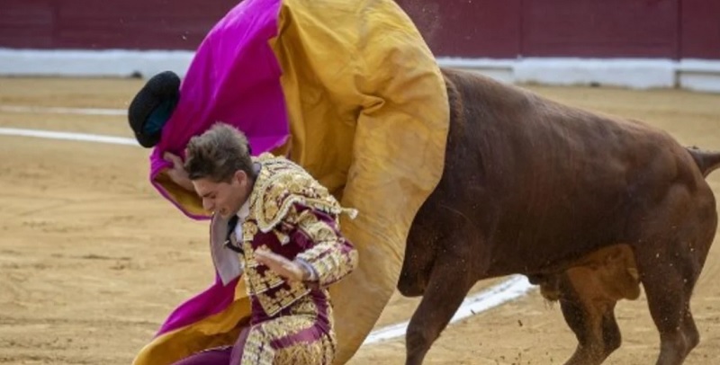 Murió Santiago, un carnicero corneado por el toro al que iba a rematar