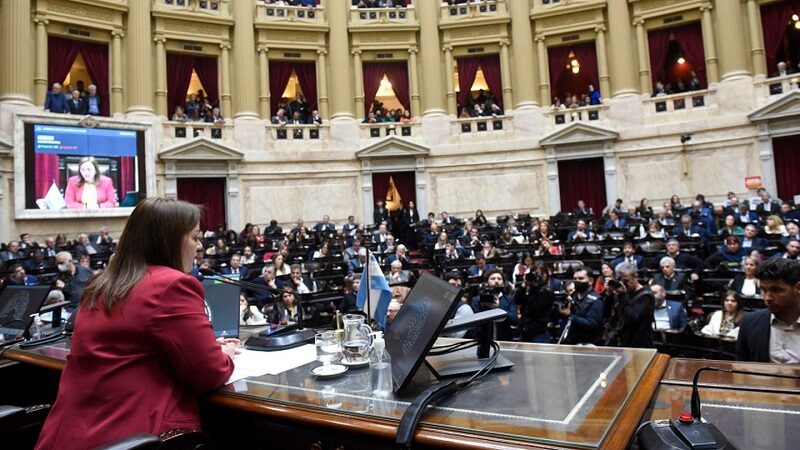 La eliminación de las PASO suma apoyos y crece el temor de la oposición por los votos en Diputados