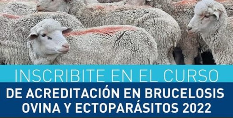 Curso de Brucelosis ovina y ectoparásitos