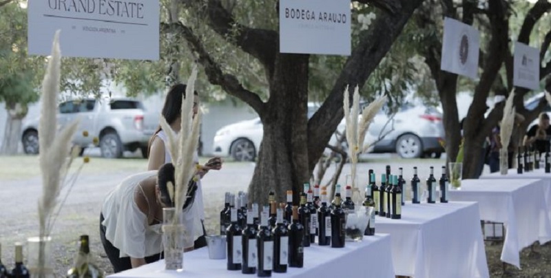 Se realizó la Fiesta Provincial de la Flor de la Vid y se inauguró el calendario de la Vendimia 2023