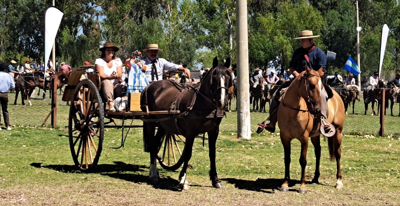 Múltiples actividades en la Fiesta Nacional del Caballo