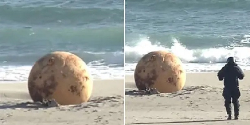 Fin del misterio: revelan qué era la bola gigante hallada en una playa de Japón