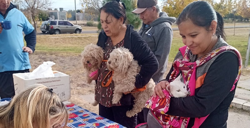 Perros y gatos de barrios del sur de ciudad, fueron vacunados contra la rabia