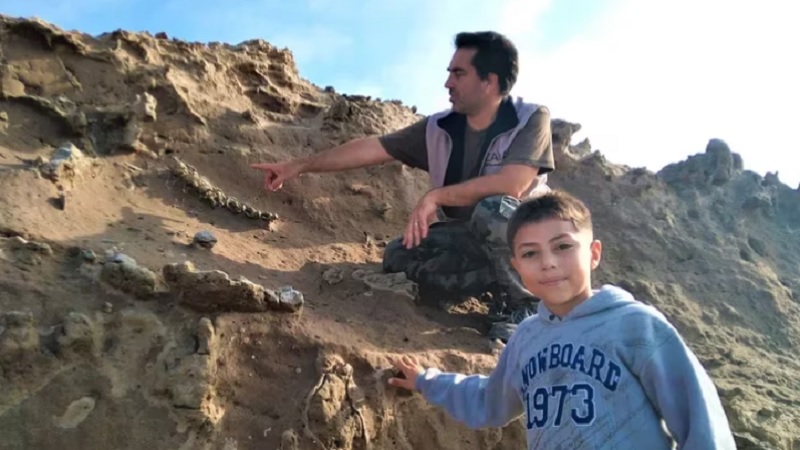 Tiene 8 años, es fanático de los dinosaurios y encontró fósiles de la Edad del Hielo en Miramar