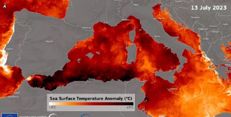 La ola de calor debajo del mar que preocupa a los científicos