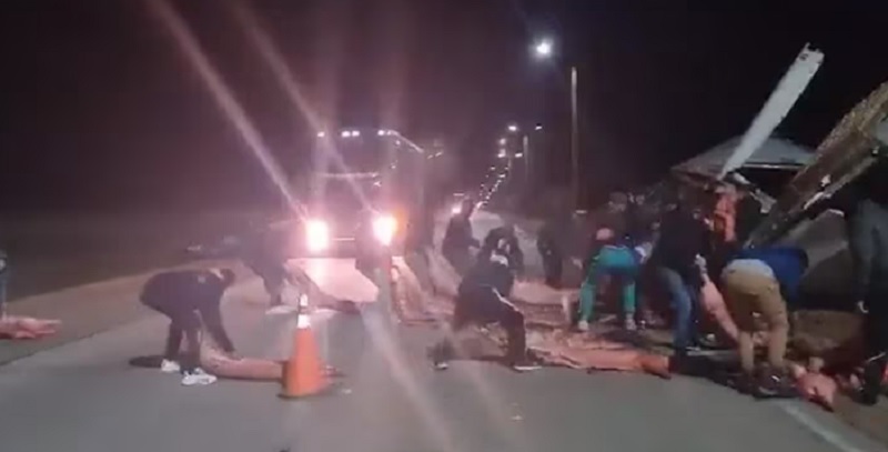 Volcó un camión con más de 20 mil kilos de carne y los vecinos los saquearon