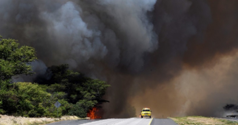 Los incendios redujeron a cenizas un paraíso hawaiano en Maui: al menos 36 muertos y miles de evacuados