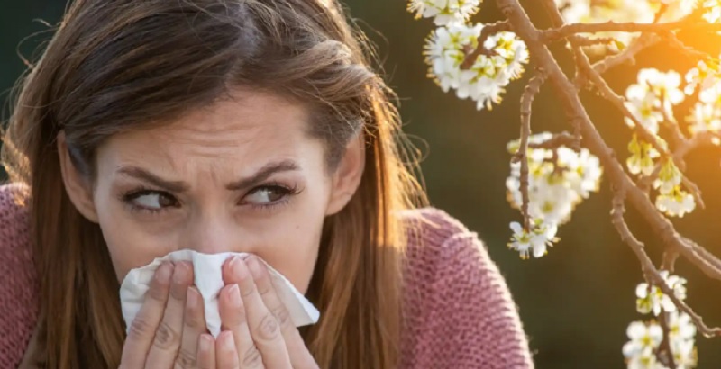 Las alergias se reproducen de la mano del clima