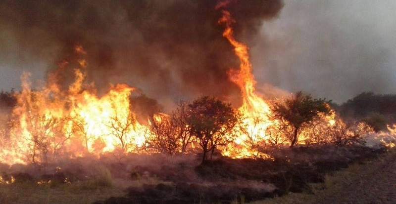 Mendoza en alerta extrema por incendios
