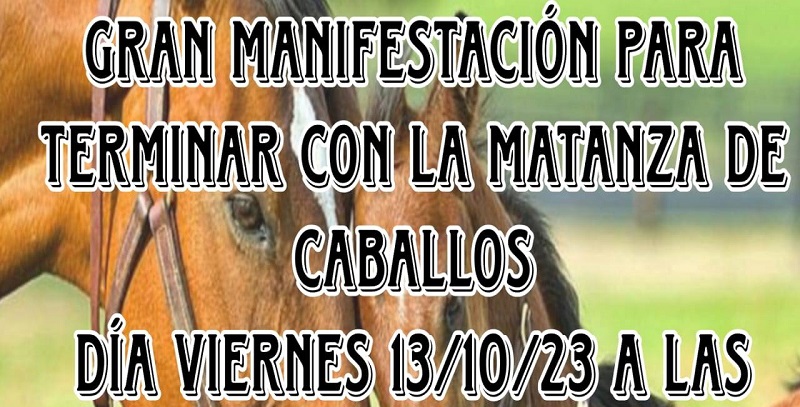 Manifestación contra la matanza de equinos en el Km 0