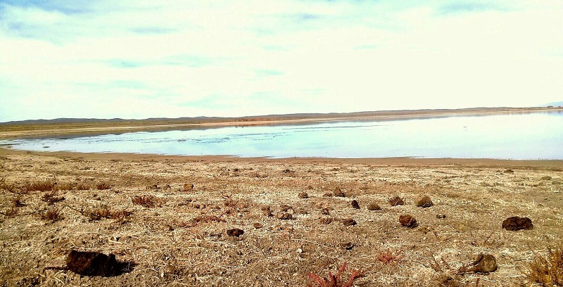 Piden conocer lo que queda del área natural protegida de la laguna «Las Salinas