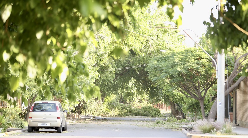 Reporte general de la Provincia sobre los daños causados por el viento zonda