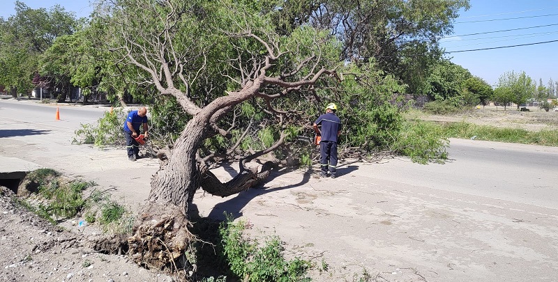 El municipio tuvo cerca de 300 intervenciones el fin de semana