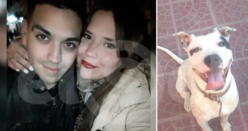 Tragedia en Maipú: una pareja murió ahogada delante de su hijo al intentar rescatar un perro