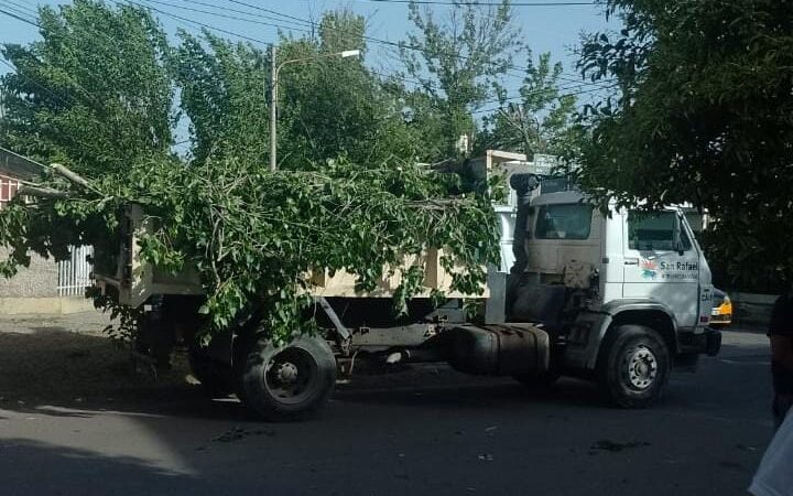 Se reanudó la recolección de residuos y los operativos de limpieza
