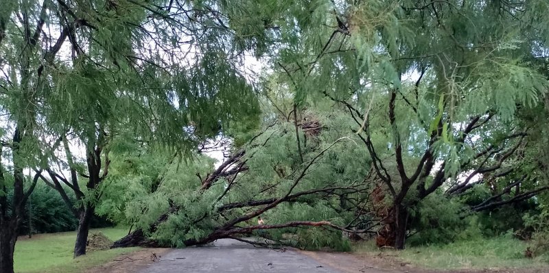 Problemas con la tormenta