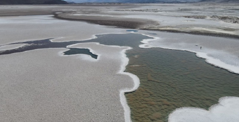 Encuentran una red de lagunas ocultas con fósiles vivientes en el desierto de Atacama