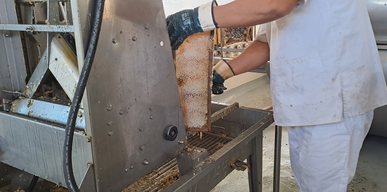 Comenzó una nueva temporada la Planta de Extracción comunitaria de miel