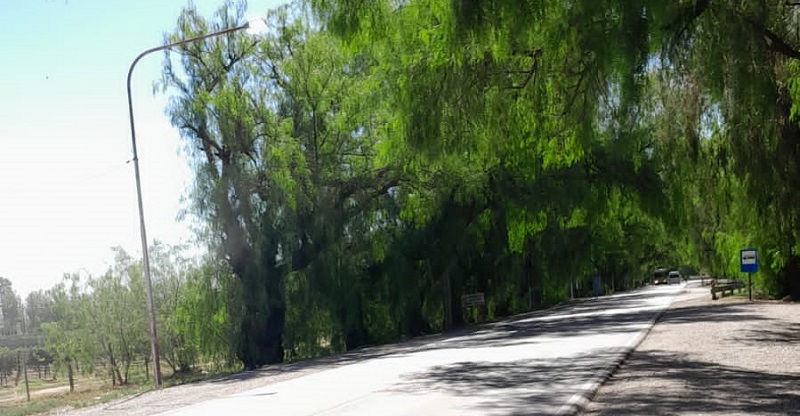 El Municipio ordenó el retiro de más de 30 puestos de venta camino al Valle Grande