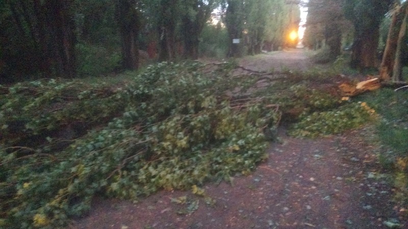 Todas las áreas municipales trabajan luego de la violenta tormenta