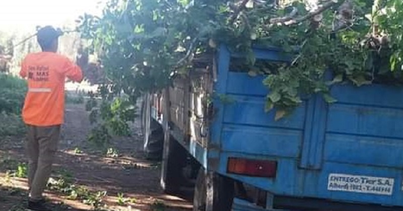 Avanza la limpieza y asistencia a los vecinos afectados por la tormenta