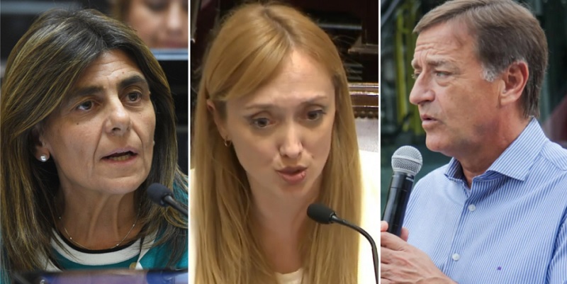 Cuántos asesores tienen los senadores mendocinos en el Congreso
