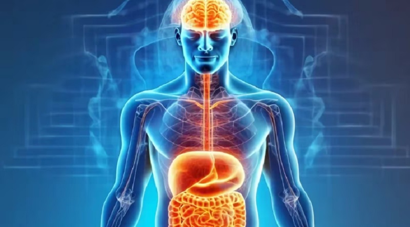 Experto argentino impulsa una nueva medicina: “Sanando la microbiota intestinal se pueden curar más de 90 enfermedades”
