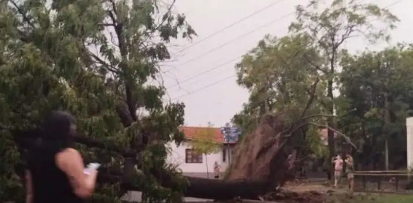 Feroz tormenta de granizo azotó a Maipú y Luján por más de 20 minutos