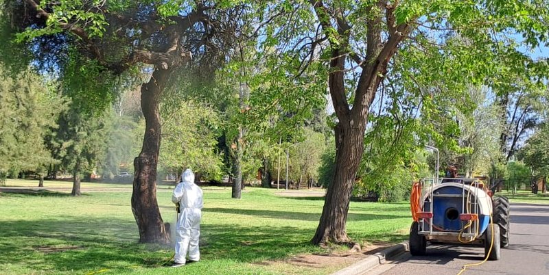 Contra el dengue: el municipio avanza con prevención y acción