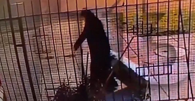Misterio y desconcierto en Chile: filman a una monja transportando el cadáver de otra religiosa en una valija por la calle
