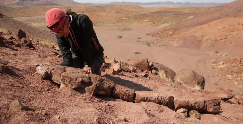 “Una salamandra infernal”: el animal gigante que dominó el planeta antes que los dinosaurios