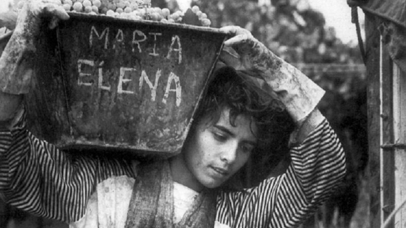 Llega a San Rafael una muestra con la obra de Máximo Arias