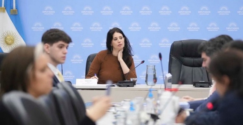 La diputada Ajmechet cobra 1,2 millón como adjunta de cátedra en la UBA y votó contra las universidades