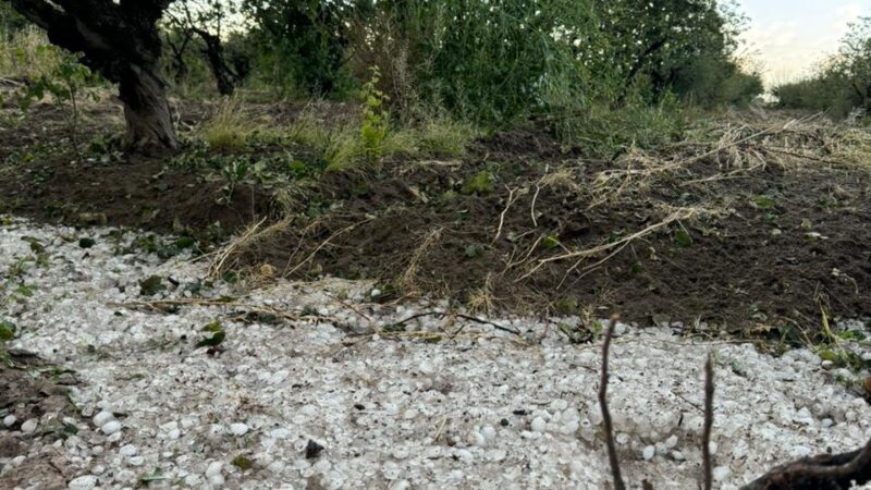 Luego del calor y la tormenta, llega la calma