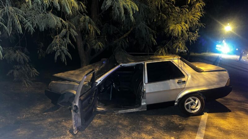 Se le salió la rueda y chocaron contra un árbol