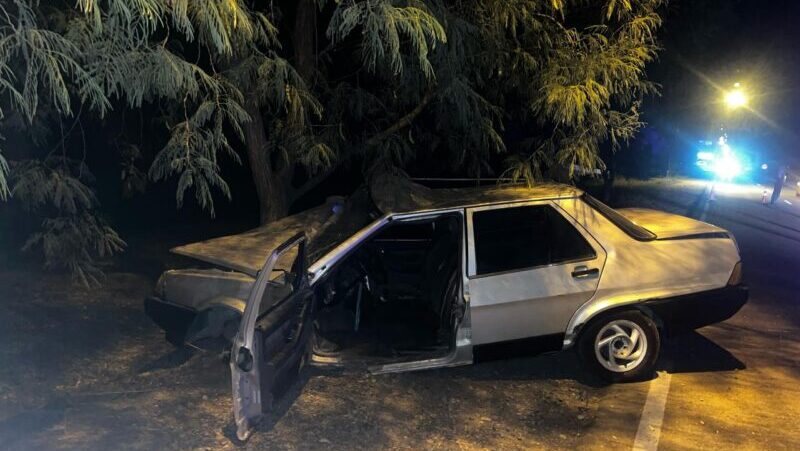 Se le salió la rueda y chocaron contra un árbol
